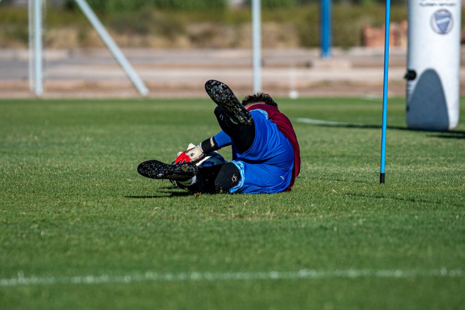 比利时认为FIFA提供的训练场草坪质量不佳
